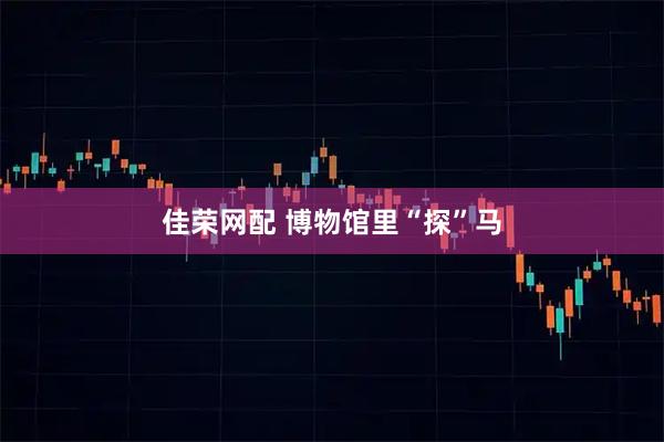 佳荣网配 博物馆里“探”马