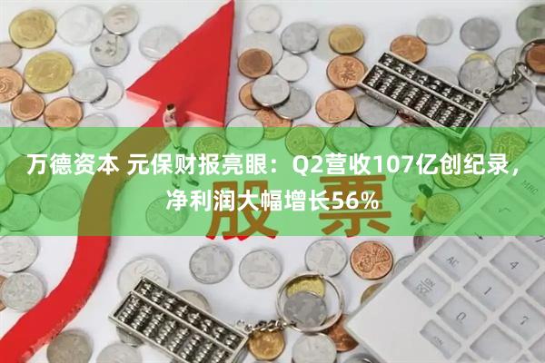 万德资本 元保财报亮眼：Q2营收107亿创纪录，净利润大幅增长56%