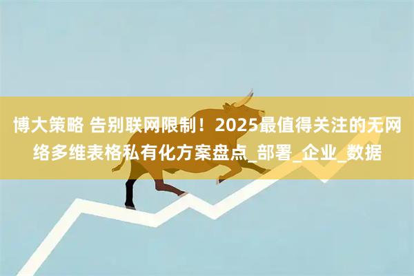 博大策略 告别联网限制！2025最值得关注的无网络多维表格私有化方案盘点_部署_企业_数据