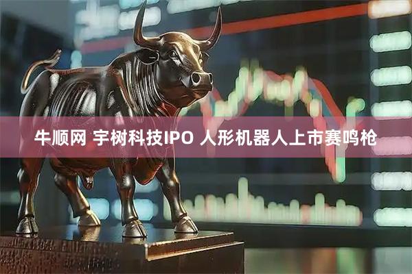 牛顺网 宇树科技IPO 人形机器人上市赛鸣枪